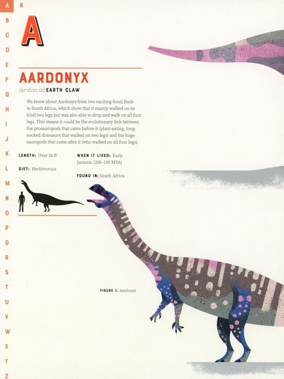 Дополнительное изображение книги «Dictionary of Dinosaurs»