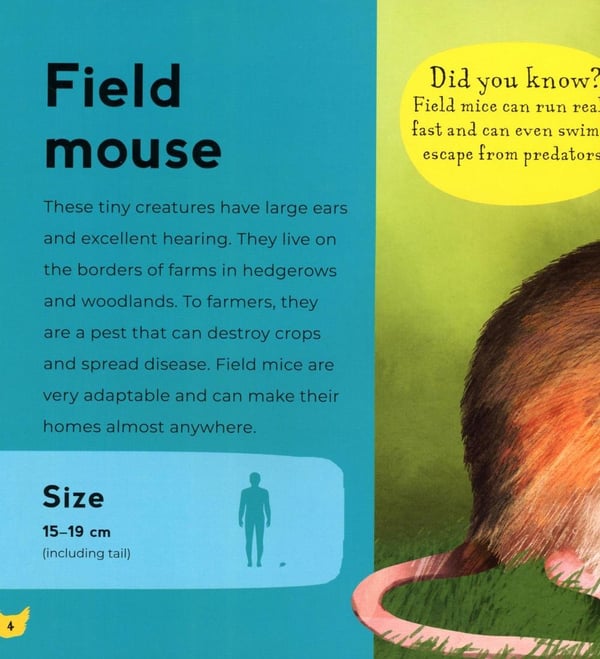 Дополнительное изображение книги «My First Book of Farm Animals»