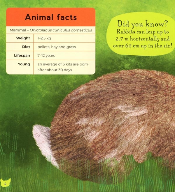 Дополнительное изображение книги «My First Book of Farm Animals»