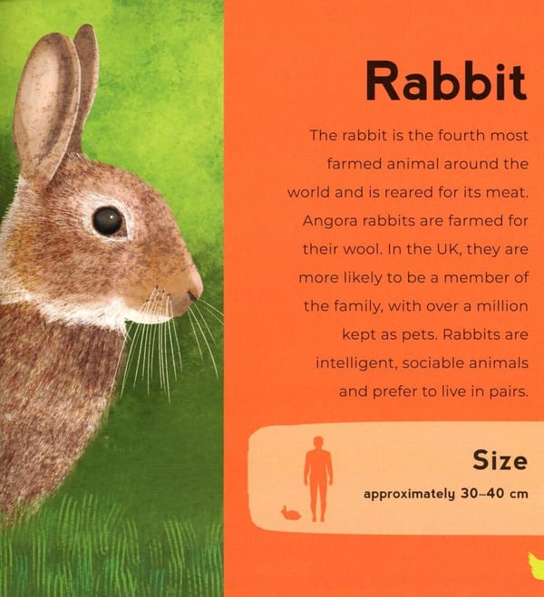 Дополнительное изображение книги «My First Book of Farm Animals»