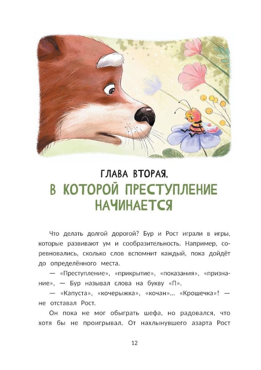 Дополнительное изображение книги «Сыщик Бур и тайны Зеленой Равнины»