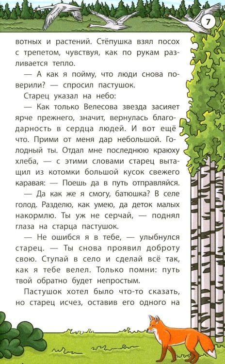 Дополнительное изображение книги «Мудрые славянские сказки»