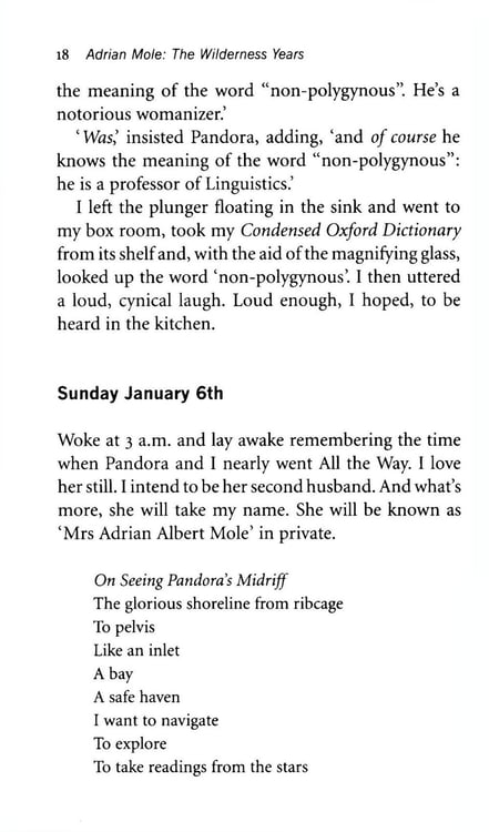 Дополнительное изображение книги «4. Adrian Mole. The Wilderness Years»