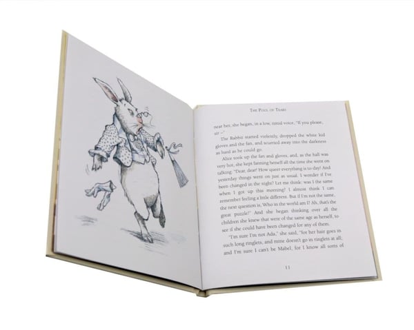 Дополнительное изображение книги «The Complete Alice Adventures in Wonderland»