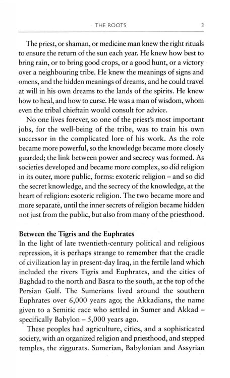Дополнительное изображение книги «A Brief History of Secret Societies»