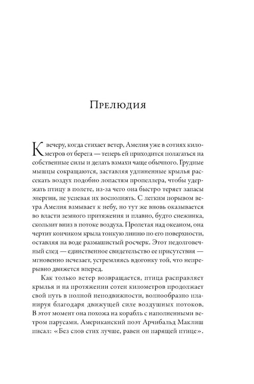 Дополнительное изображение книги «Глазами альбатроса (пер.)»