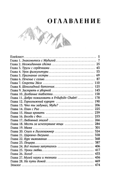 Дополнительное изображение книги «Теория снежного кома»