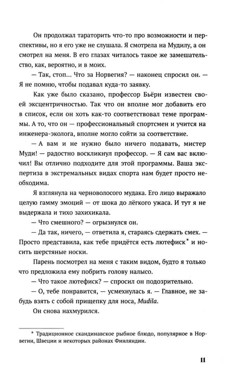 Дополнительное изображение книги «Теория снежного кома»