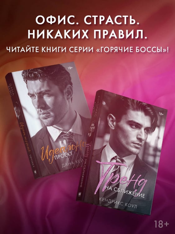 Дополнительное изображение книги «Идеальный проект»