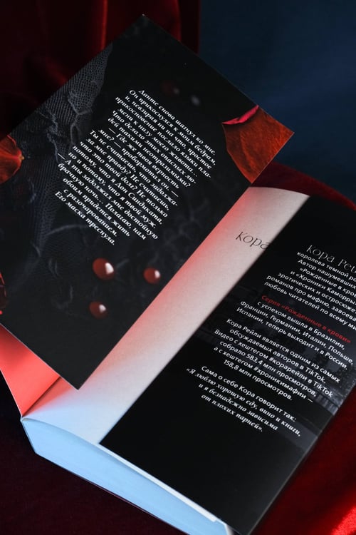 Дополнительное изображение книги «Связанные долгом»