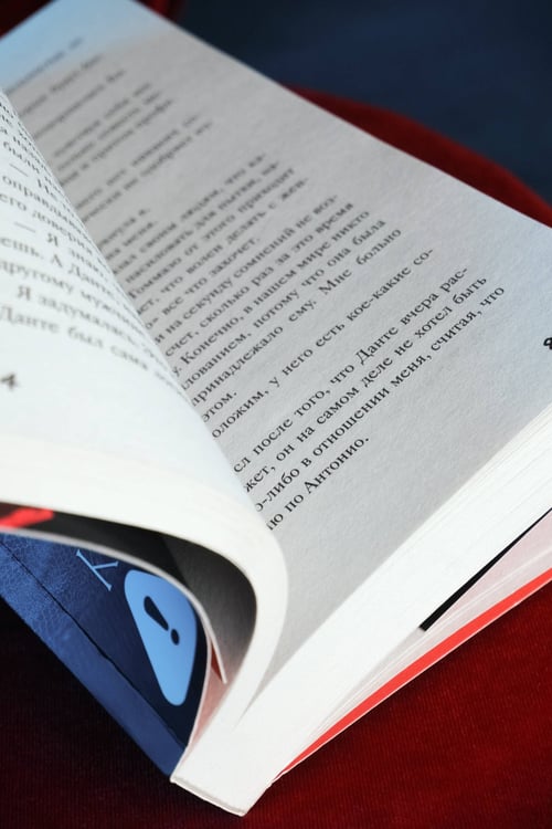 Дополнительное изображение книги «Связанные долгом»