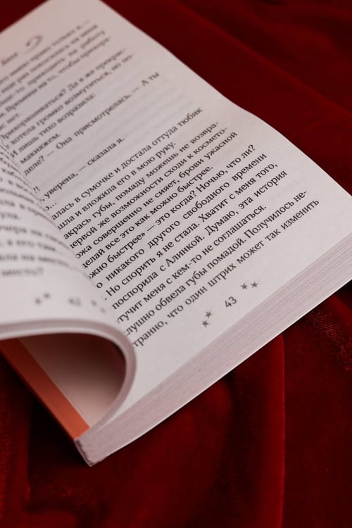 Дополнительное изображение книги «Спор на босса»