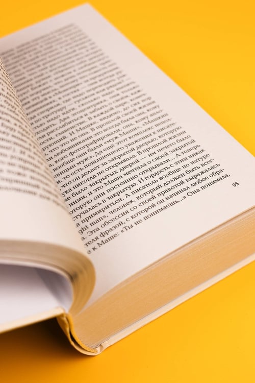 Дополнительное изображение книги «Мой Лимонов»