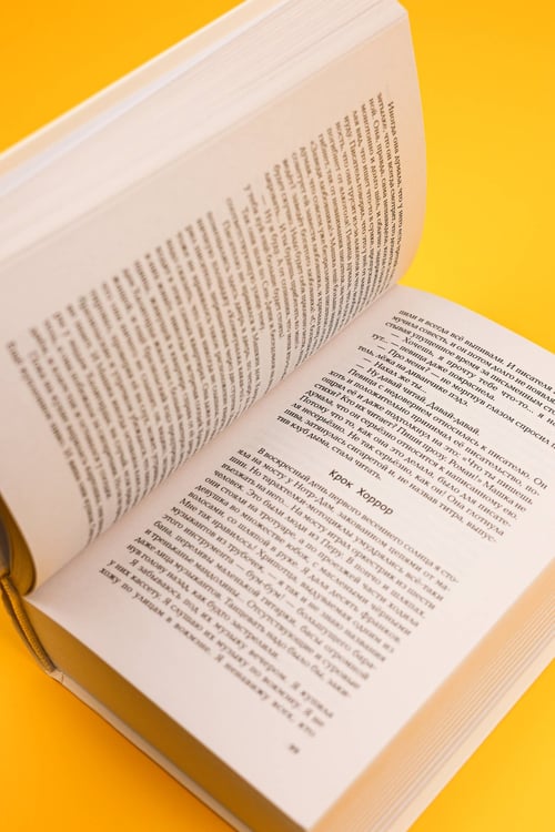 Дополнительное изображение книги «Мой Лимонов»