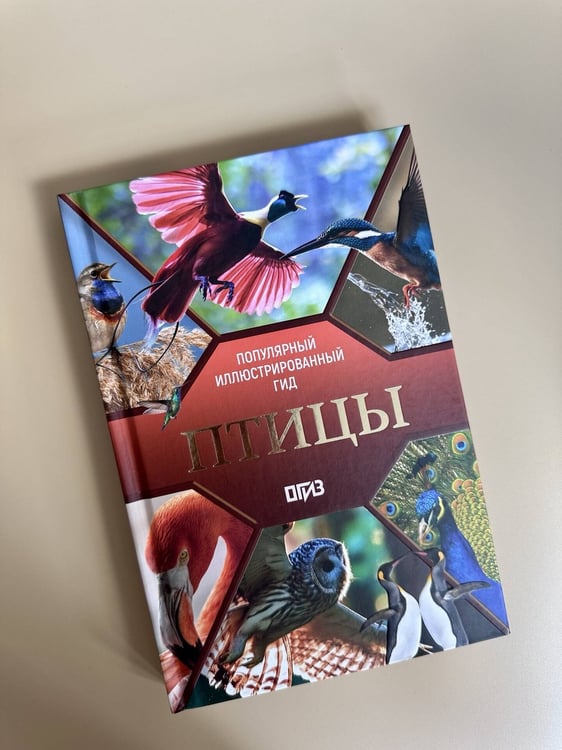 Дополнительное изображение книги «Птицы. Иллюстрированный гид»