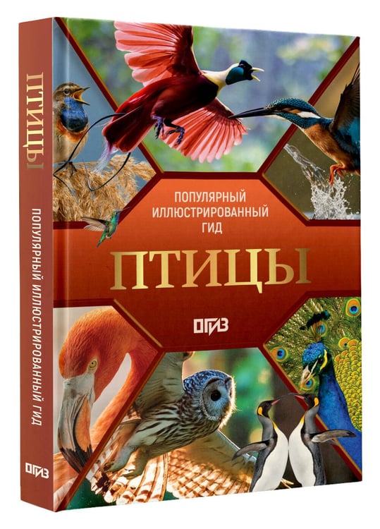 Дополнительное изображение книги «Птицы. Иллюстрированный гид»
