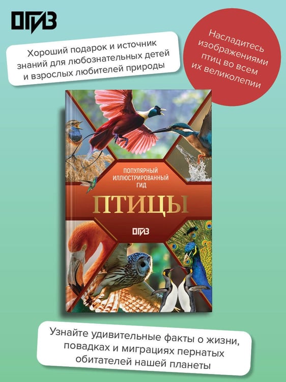 Дополнительное изображение книги «Птицы. Иллюстрированный гид»