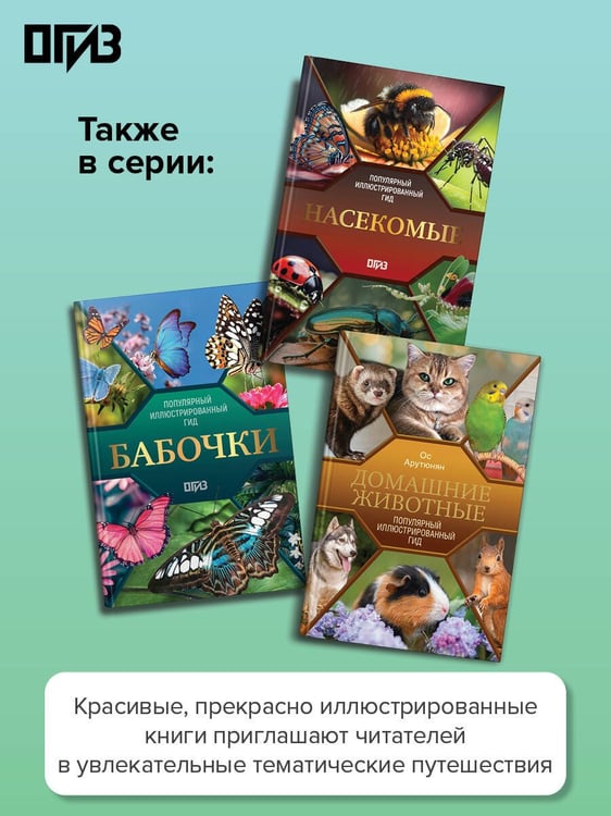 Дополнительное изображение книги «Птицы. Иллюстрированный гид»