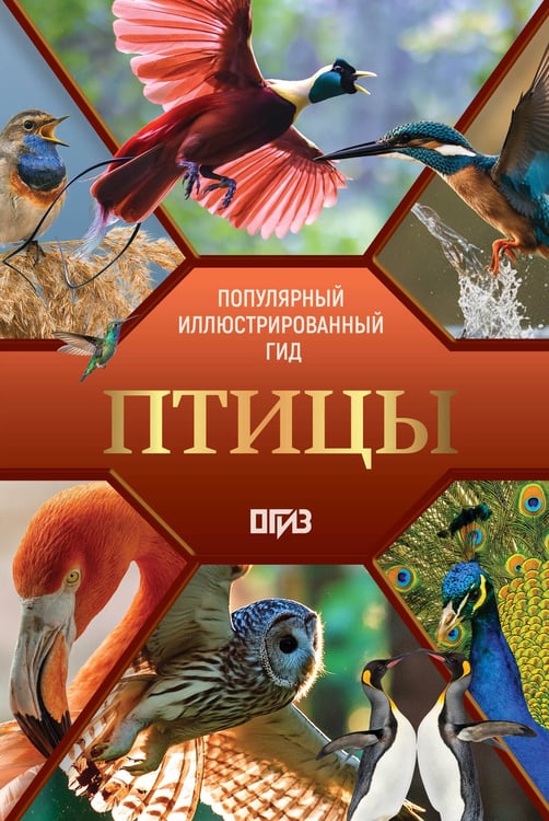 Обложка книги «Птицы. Иллюстрированный гид» — Спектор Анна Артуровна;Папуниди Елена Алексеевна, ISBN 9785171738648