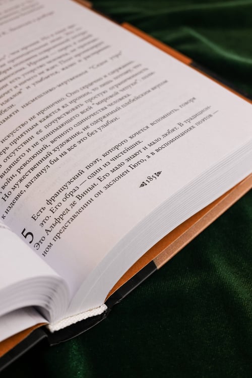 Дополнительное изображение книги «Оправдание черновиков»