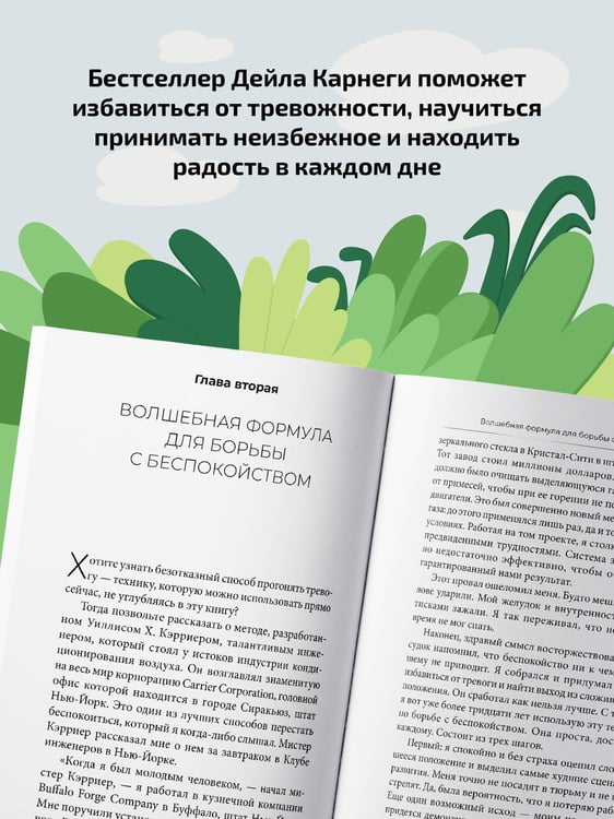 Дополнительное изображение книги «Как перестать беспокоиться и начать жить»