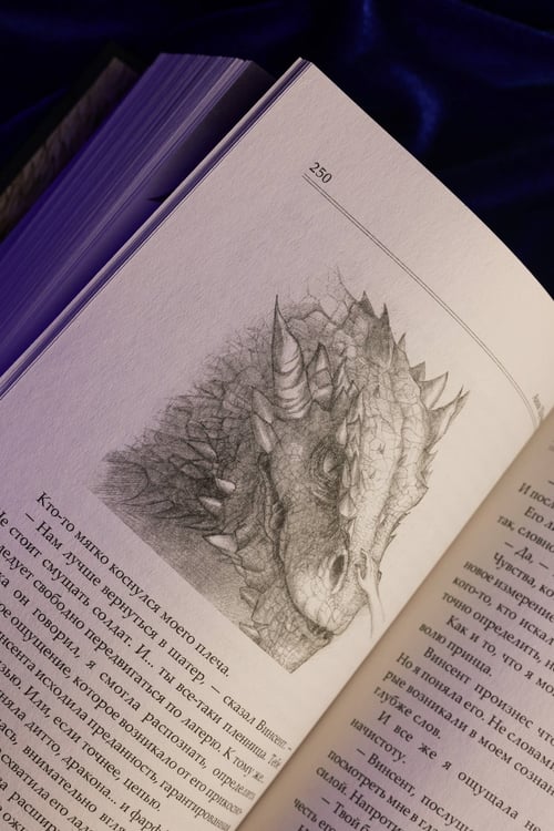 Дополнительное изображение книги «Сожженные земли. Павший»