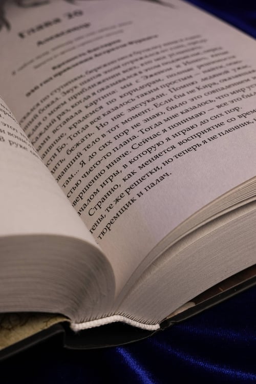 Дополнительное изображение книги «Сожженные земли. Павший»
