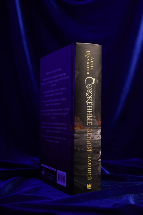 Дополнительное изображение книги «Сожженные земли. Павший»