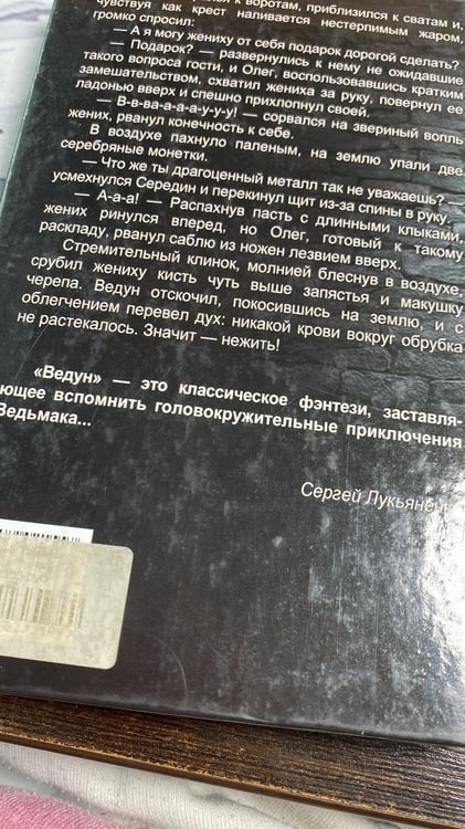 Дополнительное изображение книги «Кровь ворона»