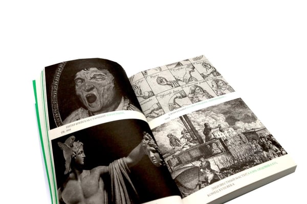 Дополнительное изображение книги «Жизнь - смерть. Лицо - тело: Эволюция представлений о человеке и ее отражение в искусстве. Идея выставки, которой не было»