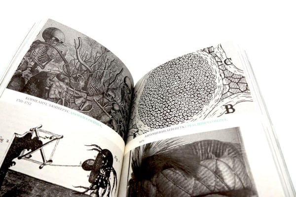 Дополнительное изображение книги «Жизнь - смерть. Лицо - тело: Эволюция представлений о человеке и ее отражение в искусстве. Идея выставки, которой не было»