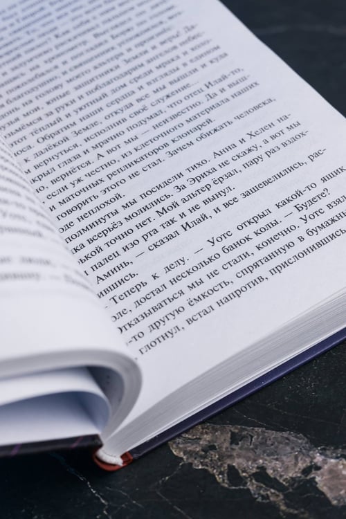 Дополнительное изображение книги «Девятый»