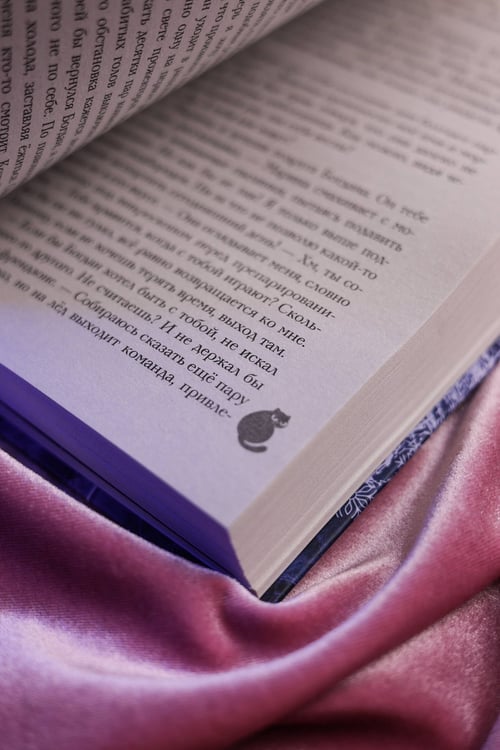 Дополнительное изображение книги «Прятки в темноте»