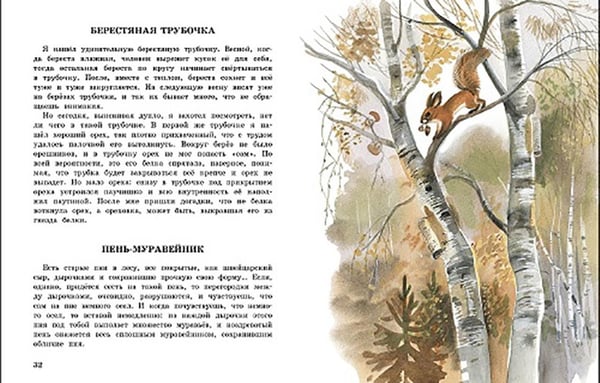 Дополнительное изображение книги «Беличья память: рассказы о природе»