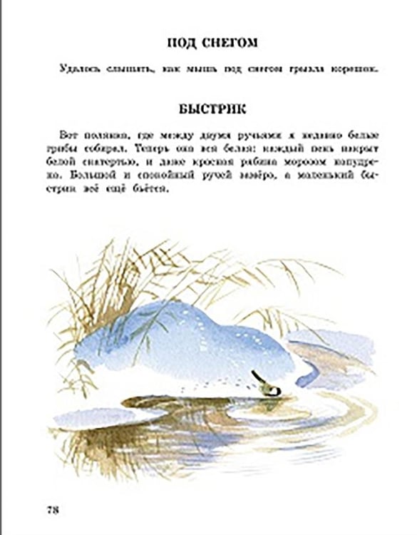 Дополнительное изображение книги «Беличья память: рассказы о природе»