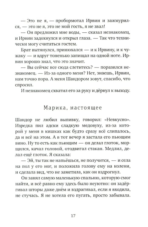 Дополнительное изображение книги «Мальчик и его маг»