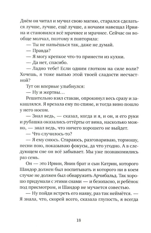 Дополнительное изображение книги «Мальчик и его маг»