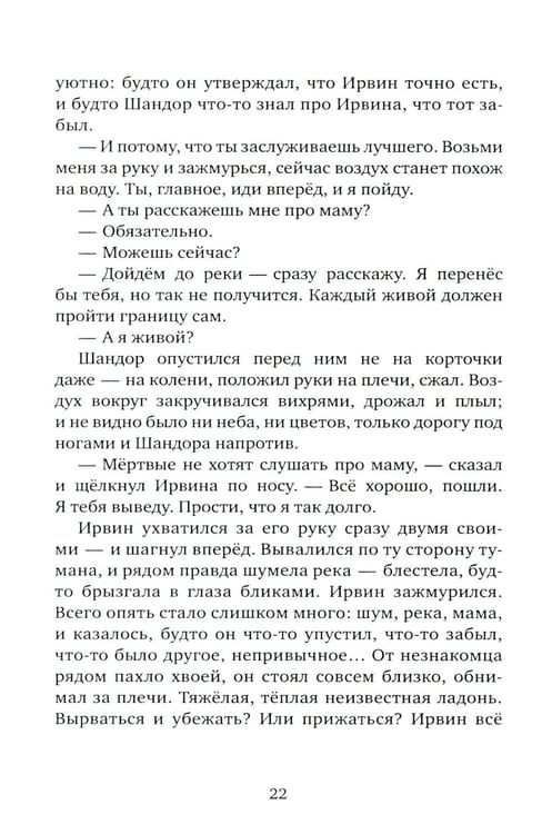 Дополнительное изображение книги «Мальчик и его маг»