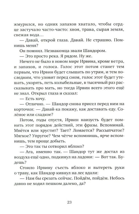 Дополнительное изображение книги «Мальчик и его маг»