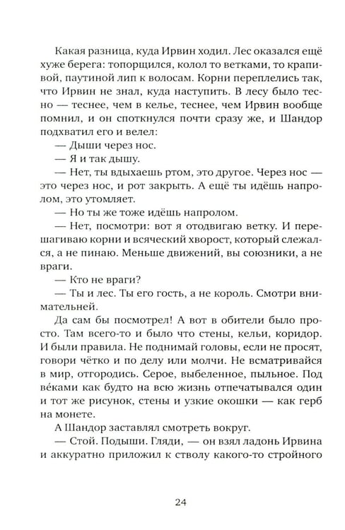 Дополнительное изображение книги «Мальчик и его маг»