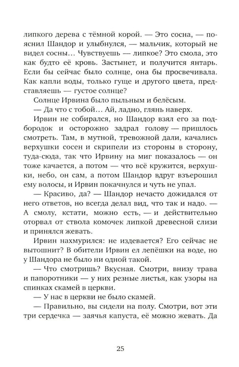 Дополнительное изображение книги «Мальчик и его маг»