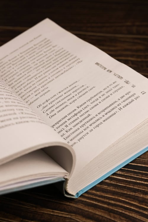 Дополнительное изображение книги «Последний пионер»