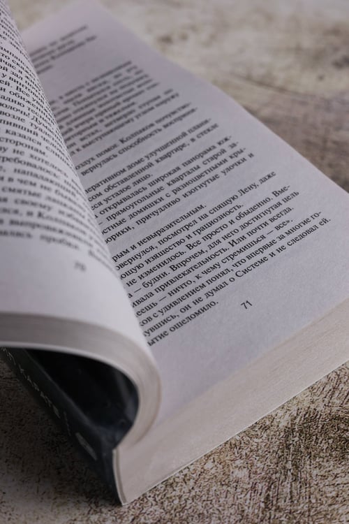 Дополнительное изображение книги «Принцип карате»