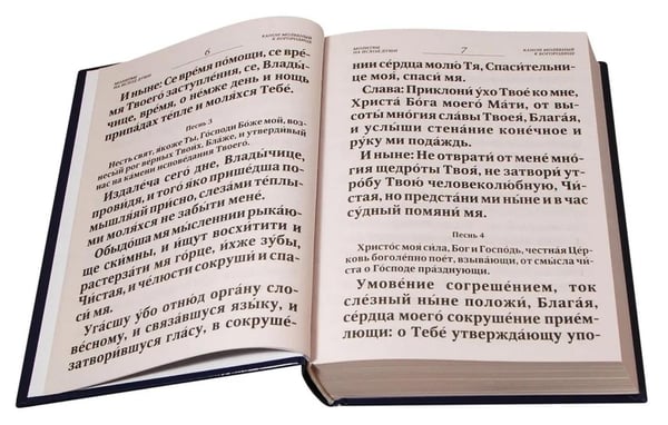 Дополнительное изображение книги «Псалтирь и Каноны по усопшим для слабовидящих: крупный шрифт»