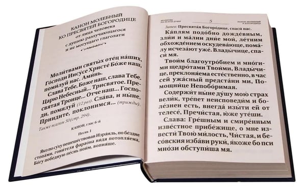 Дополнительное изображение книги «Псалтирь и Каноны по усопшим для слабовидящих: крупный шрифт»