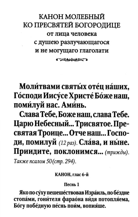Дополнительное изображение книги «Псалтирь и Каноны по усопшим для слабовидящих: крупный шрифт»