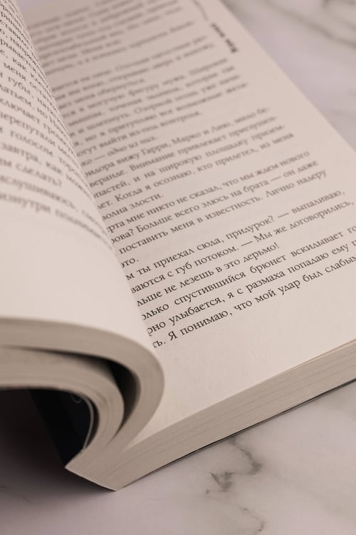 Дополнительное изображение книги «Игры теней»
