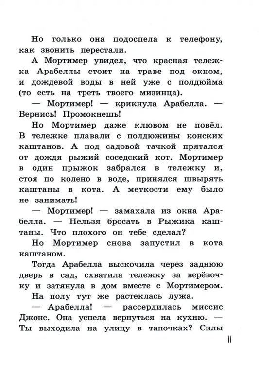 Дополнительное изображение книги «Арабелла и ворон»