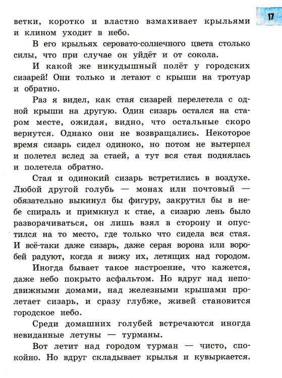 Дополнительное изображение книги «Пять похищенных монахов: повесть»