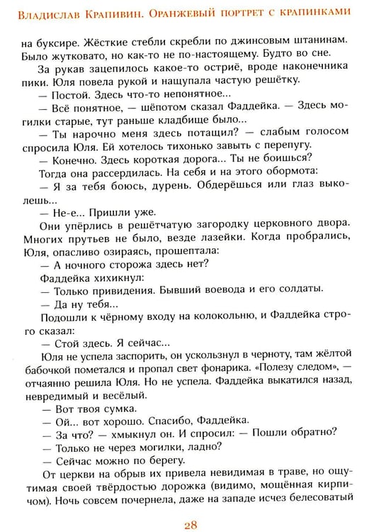 Дополнительное изображение книги «Оранжевый портрет с крапинками»